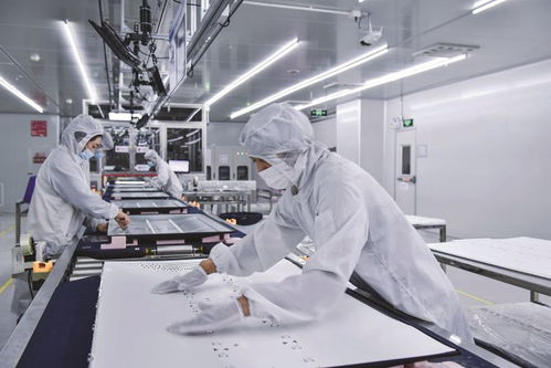 惠州 从技术开发到产业腾飞，科技赋能经济高质量发展的路径探索