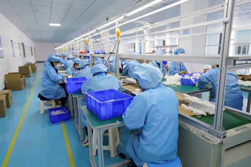 双品牌战略驱动全球布局 投资2家工厂与盖夫内外贸的技术开发之路